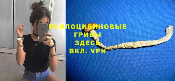 Альфа ПВП Магас